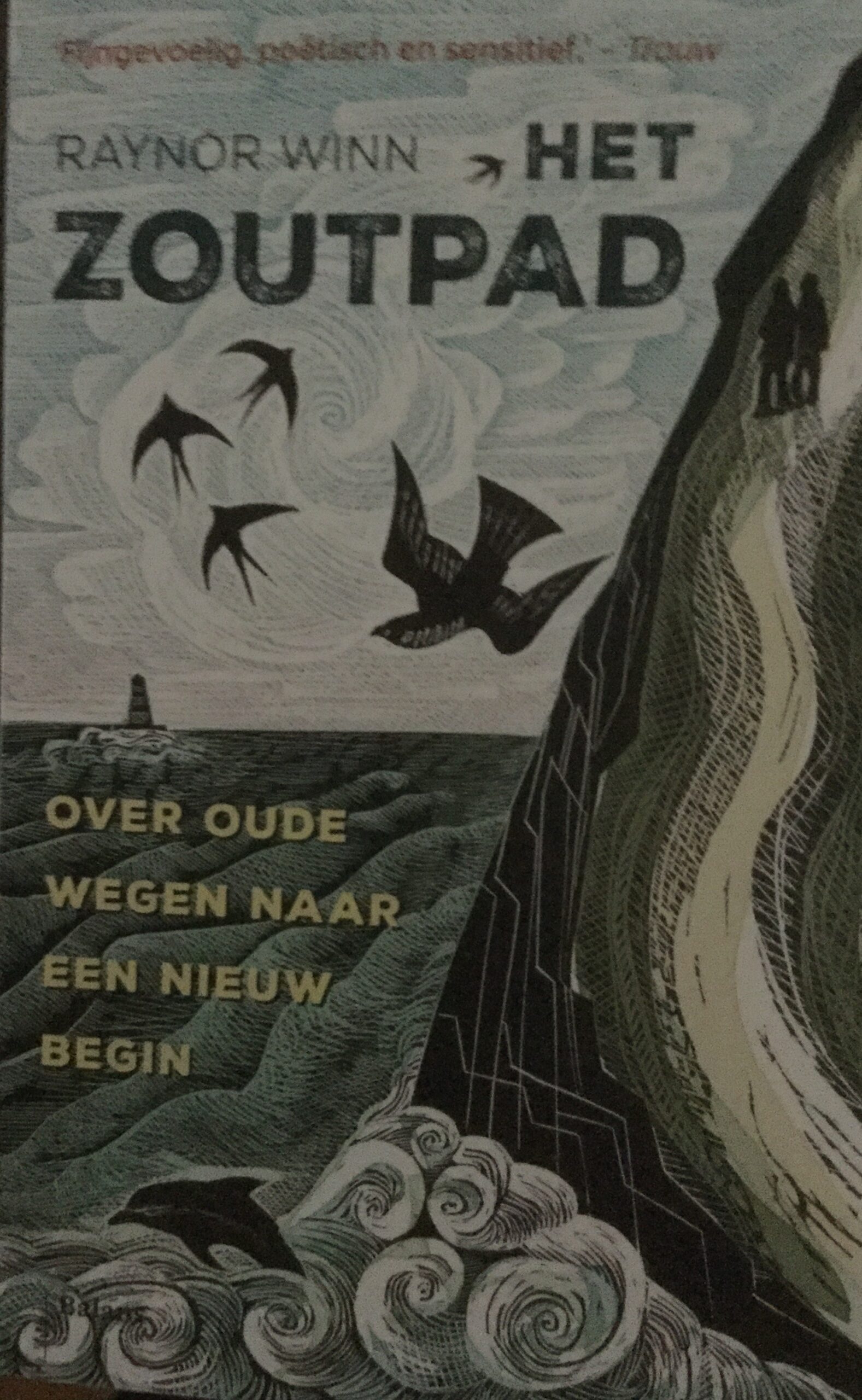 Gelezen: Het zoutpad.
